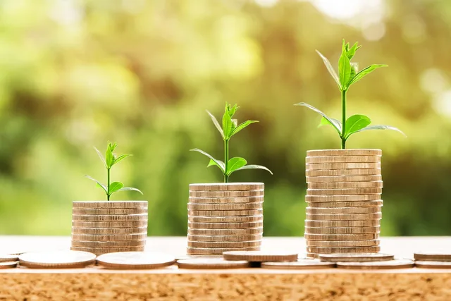 money, profit, finance, business, return, yield, financial, cash, currency, investment, banking, wealth, coin, economy, success, loan, salary, rich, credit, payment, savings, save, deposit, growth, income. How ACH return codes decide your dispute window under Nacha rules
