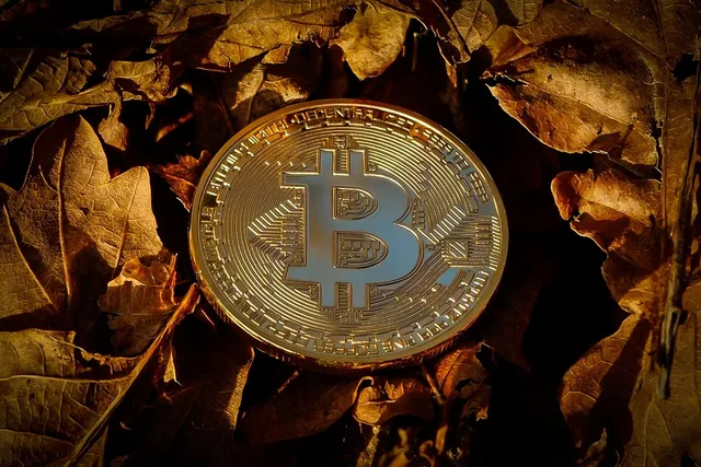 bitcoin, currency, finance, coin, crypto, cryptocurrency, brown finance, bitcoin, crypto, crypto, crypto, crypto, cryptocurrency, cryptocurrency, cryptocurrency, cryptocurrency, cryptocurrency. Digital money forms compared: cryptocurrency, stablecoin, tokenized deposit and CBDC