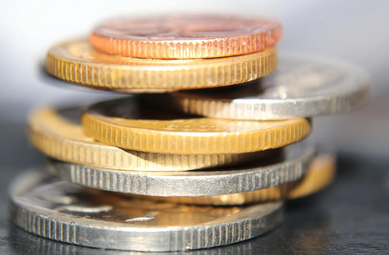 coins, money, financial, currency, finance, bank, coin, investment, deposit, rich, savings, growth, success, income. FDIC vs NCUA insurance for app balances and brokerage cash